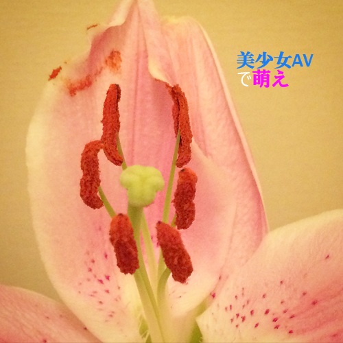 美少女AVで萌え